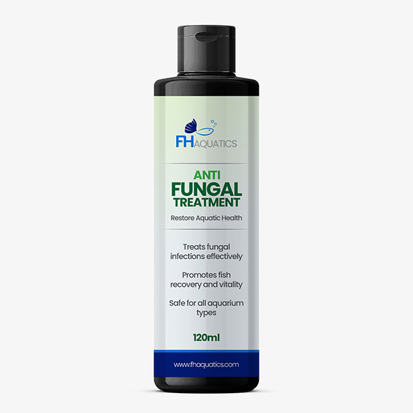 Anti Fungal